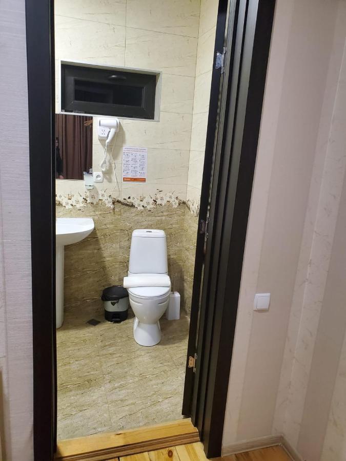 Bibo'S Kokhi Guesthouse カズベギ エクステリア 写真